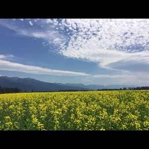 Meet your Posher, Janet